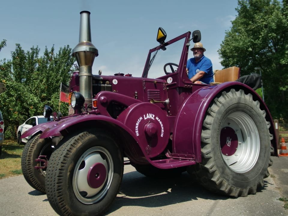 Ein alter Violetter Lanz-Traktor auf unserem Oldtimertreffen.